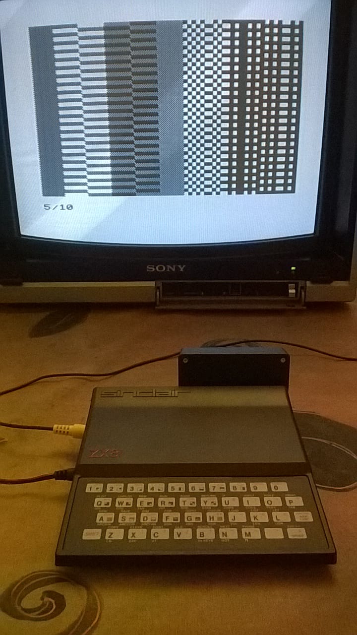ZX81